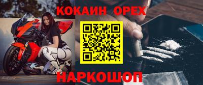 индика Дубна