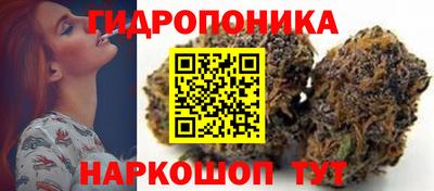 индика Дубна