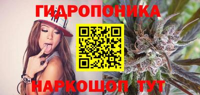 прущие грибы Донецк